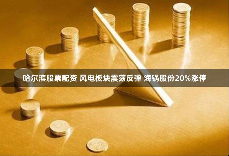 哈尔滨股票配资 风电板块震荡反弹 海锅股份20%涨停